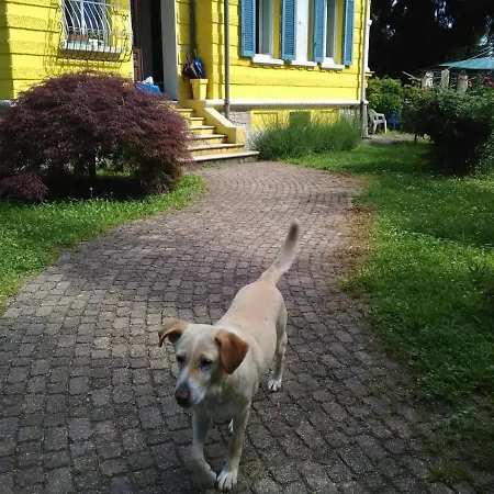 Casa Yin E Yang Lägenhet
